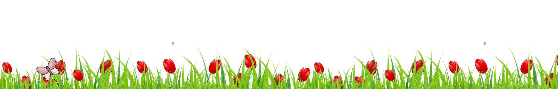 Image Banner